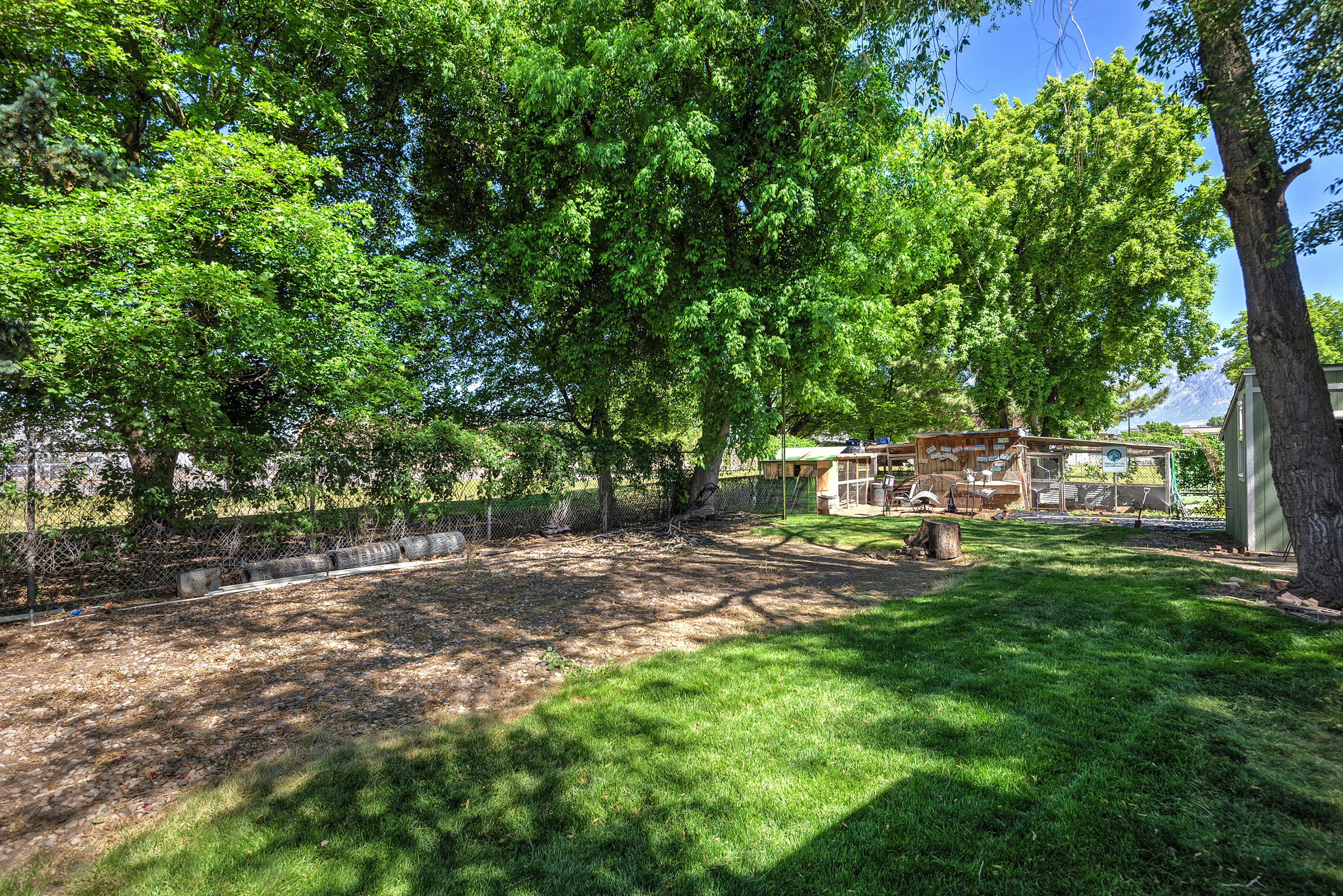 Expansive backyard featuring a manicured lawn, established trees, and a dedicated mulch area