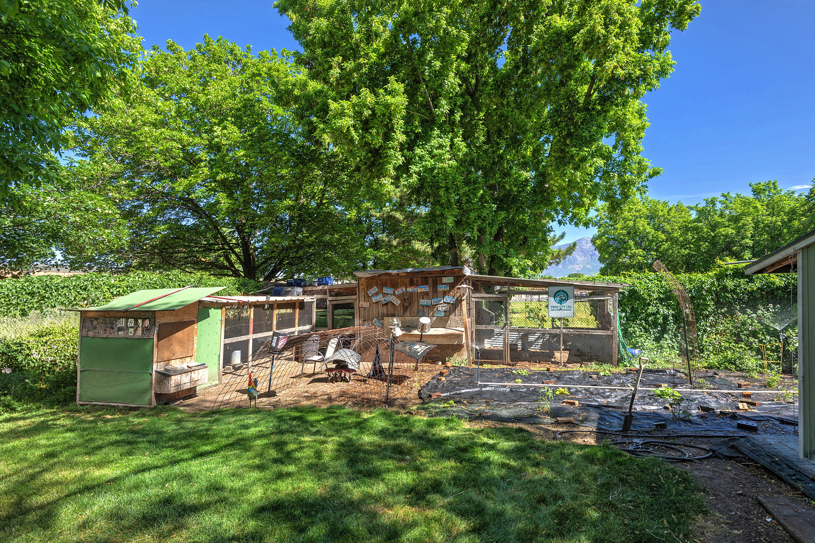 Expansive rear yard featuring an established garden area with ground covering, a multi-sectioned animal enclosure, and mature perimeter trees