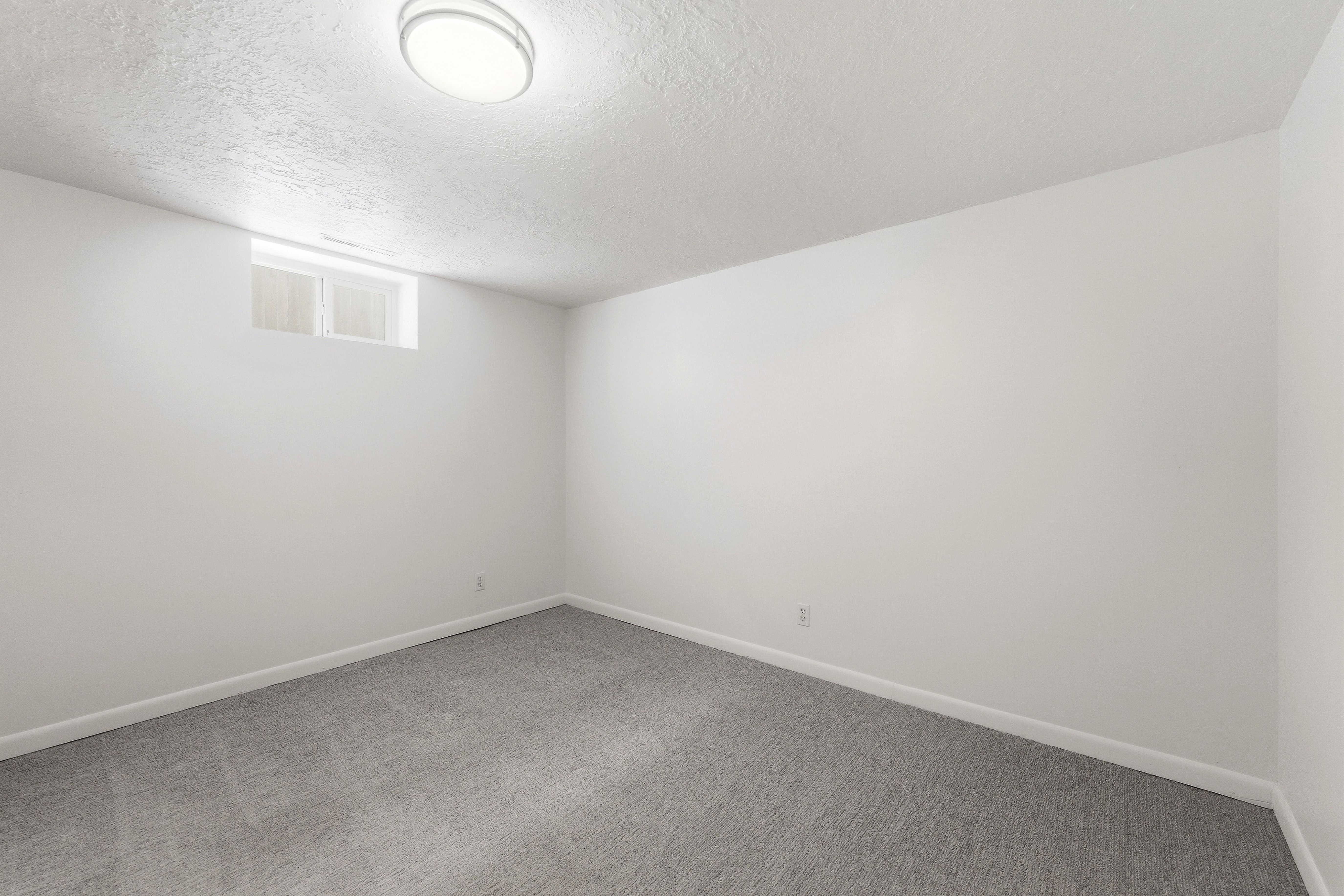 Room with light gray carpeting, white painted walls, and white baseboards
