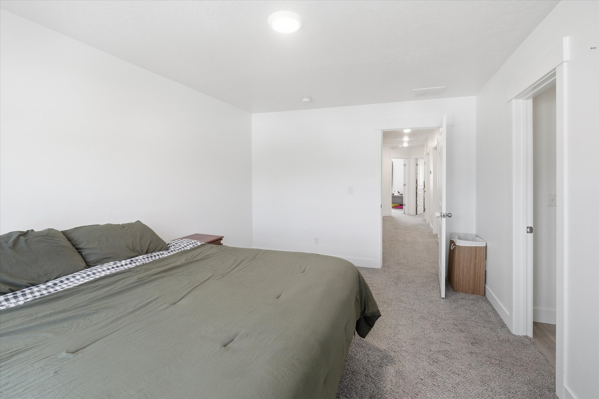 Bright interior space featuring a light gray carpeted floor, white walls, and a flush-mount ceiling light fixture