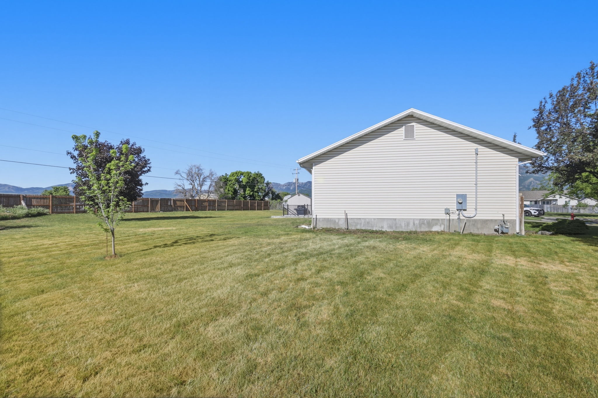 Expansive grassy yard area featuring a young tree and perimeter fencing