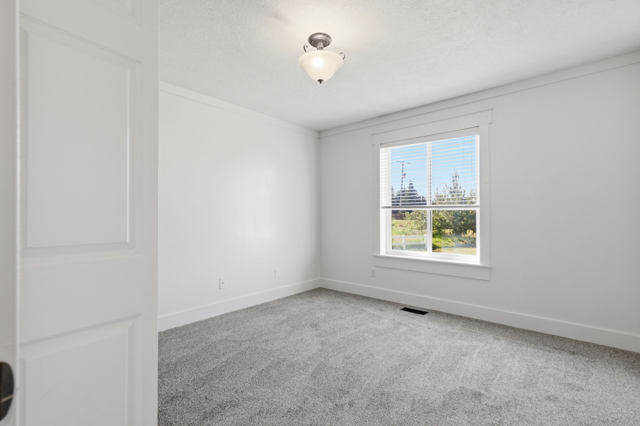 Neutral gray carpet flooring