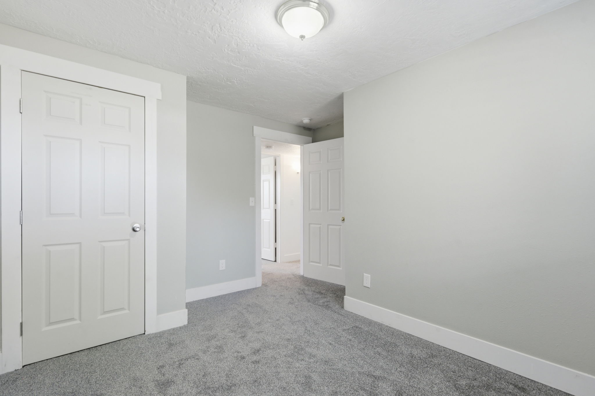 Neutral-toned room featuring a six-panel door, plush grey carpeting, white baseboards, and a flush mount ceiling light