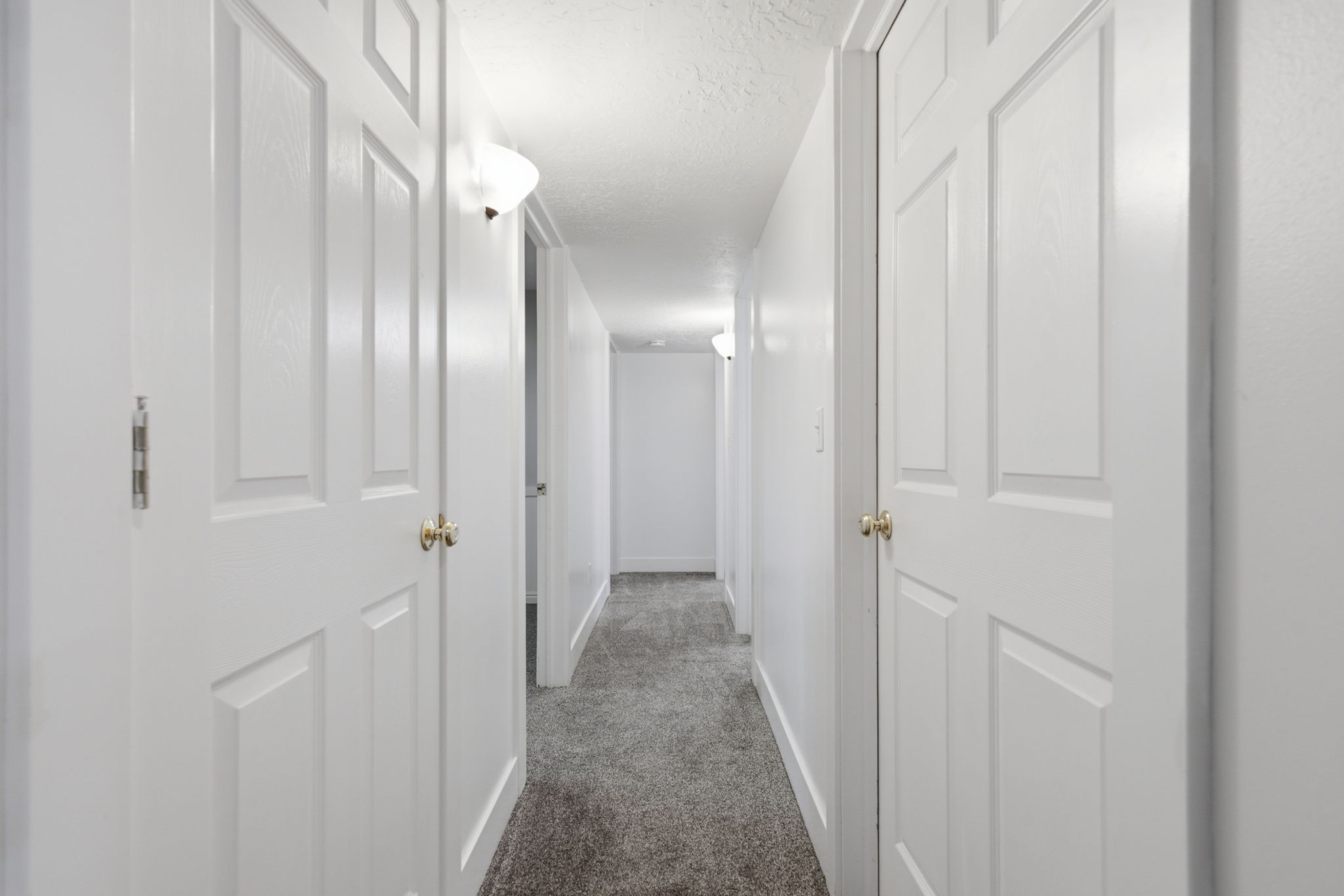 Central hallway featuring new neutral carpet, white paneled doors, brass hardware, and wall-mounted sconces providing illumination