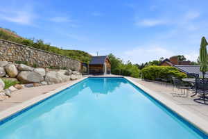 Rectangular swimming pool featuring a tiled edge and concrete surround