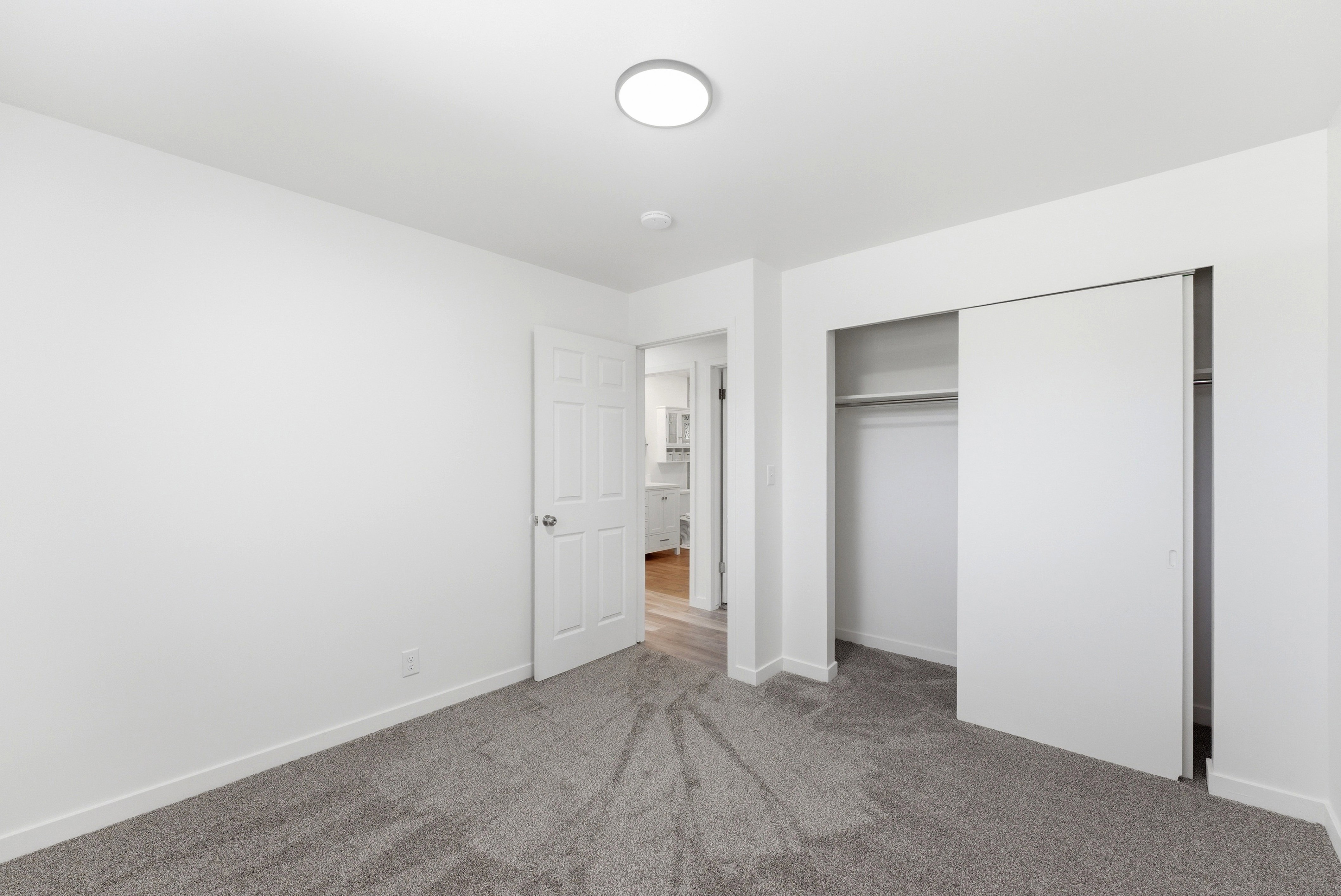 Room featuring light gray carpet flooring, white walls, a flush-mount ceiling light, and a closet with sliding doors