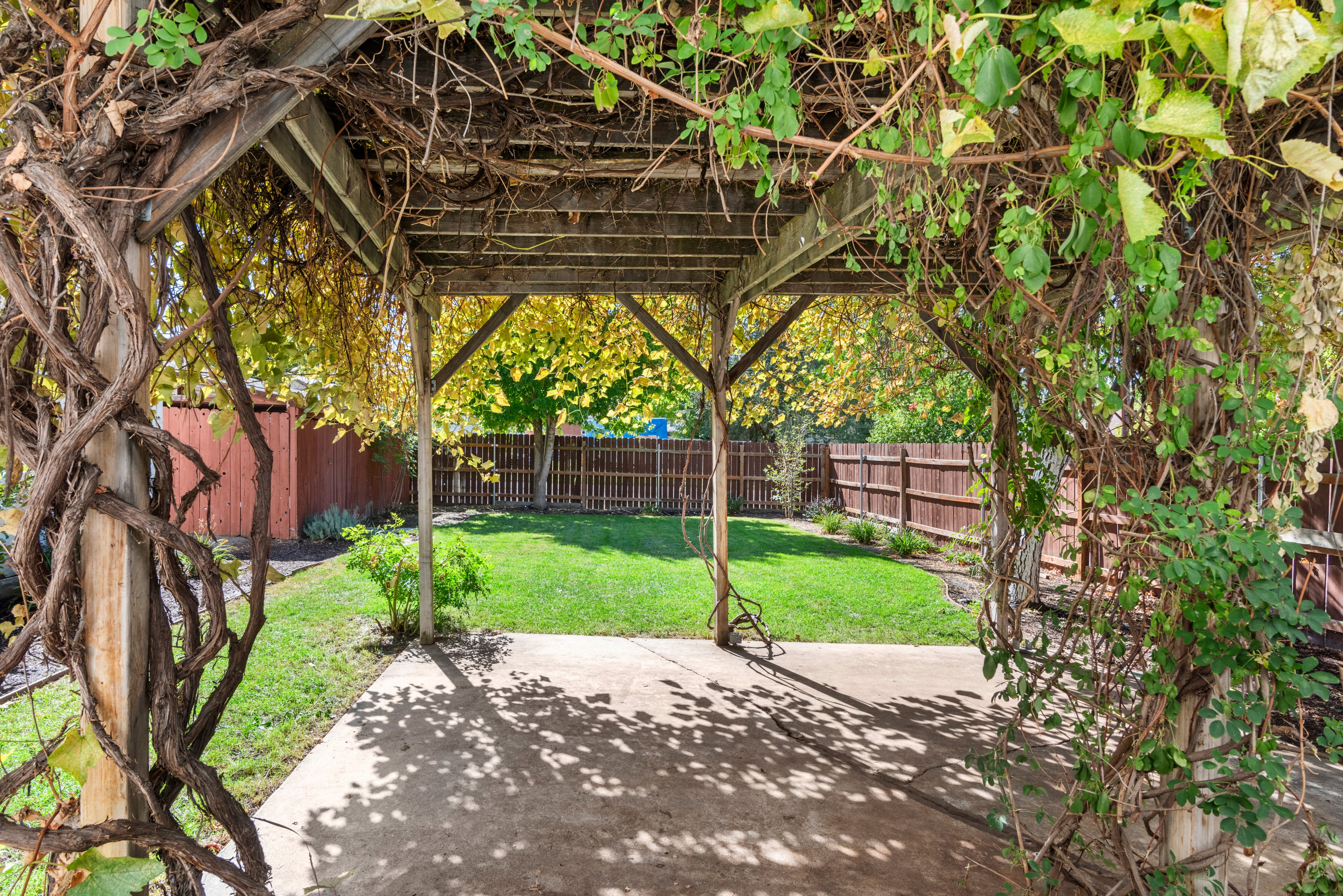 Secluded and fully fenced backyard with cottage style grape arbor patio cover