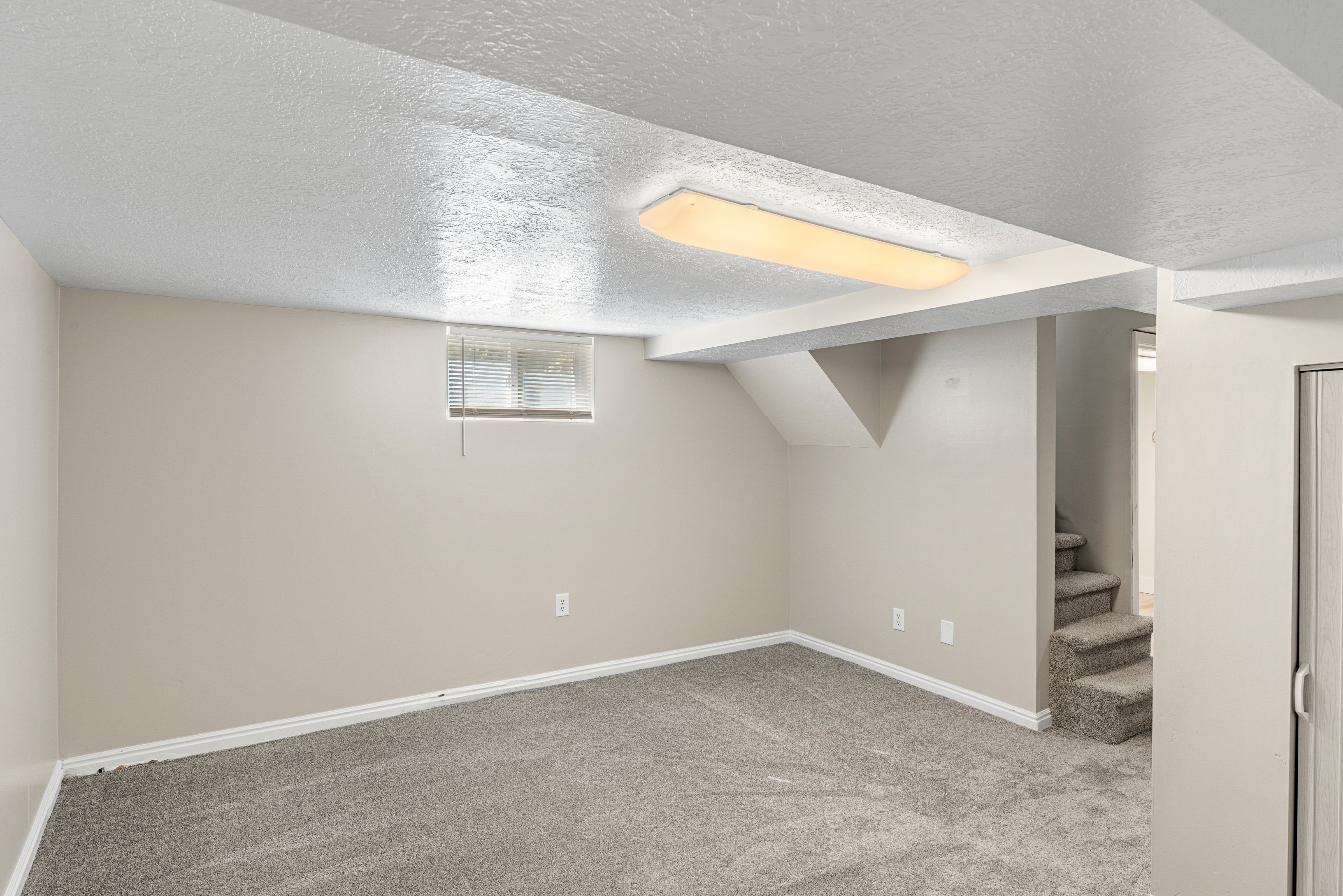 Basement living room featuring carpet and two-tone paint
