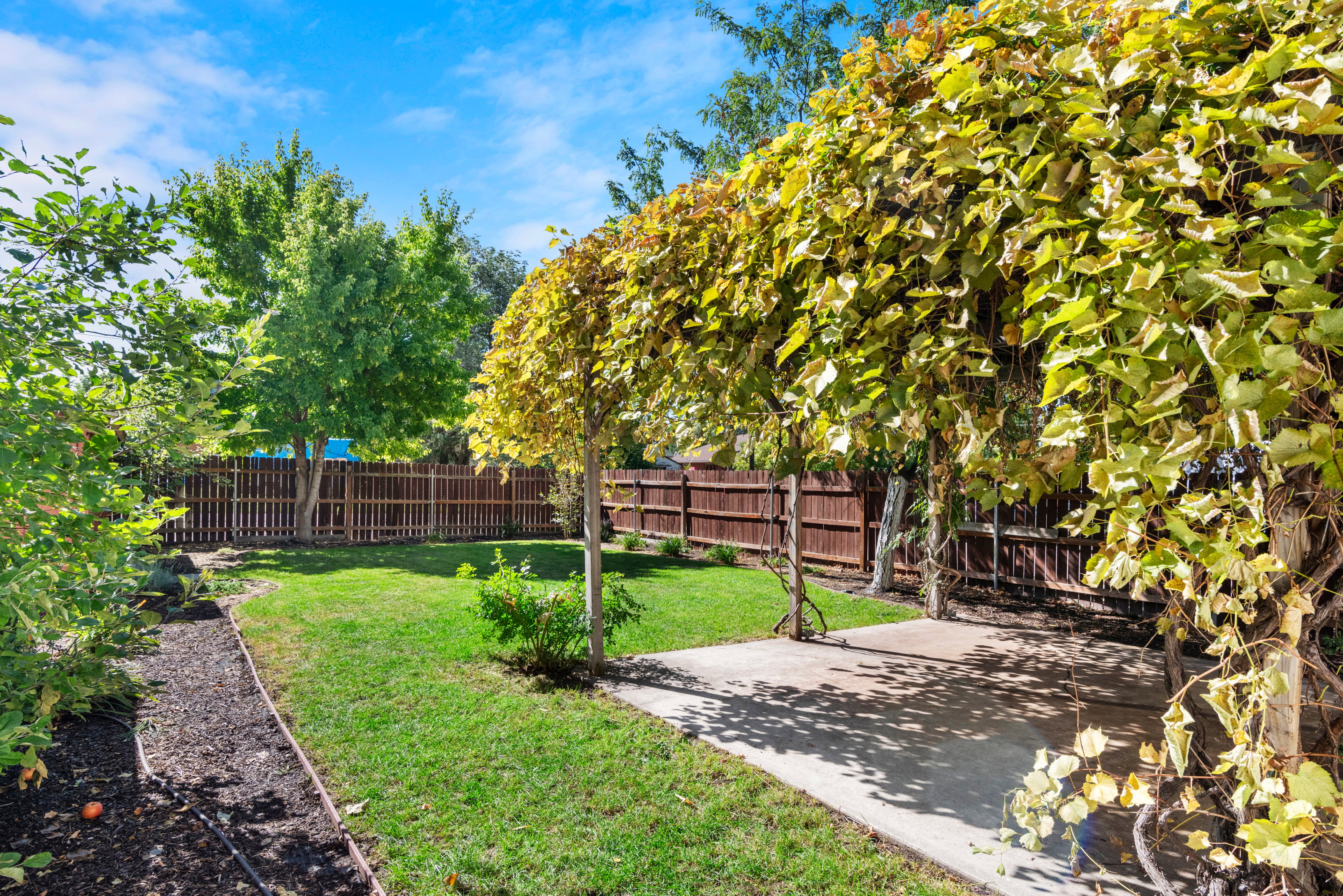 Secluded and fully fenced backyard with cottage style grape arbor patio cover