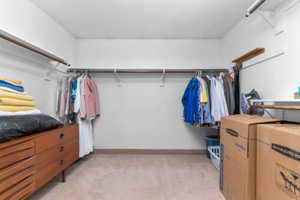 Spacious walk-in closet featuring multiple shelving units and clothing rods for ample organization