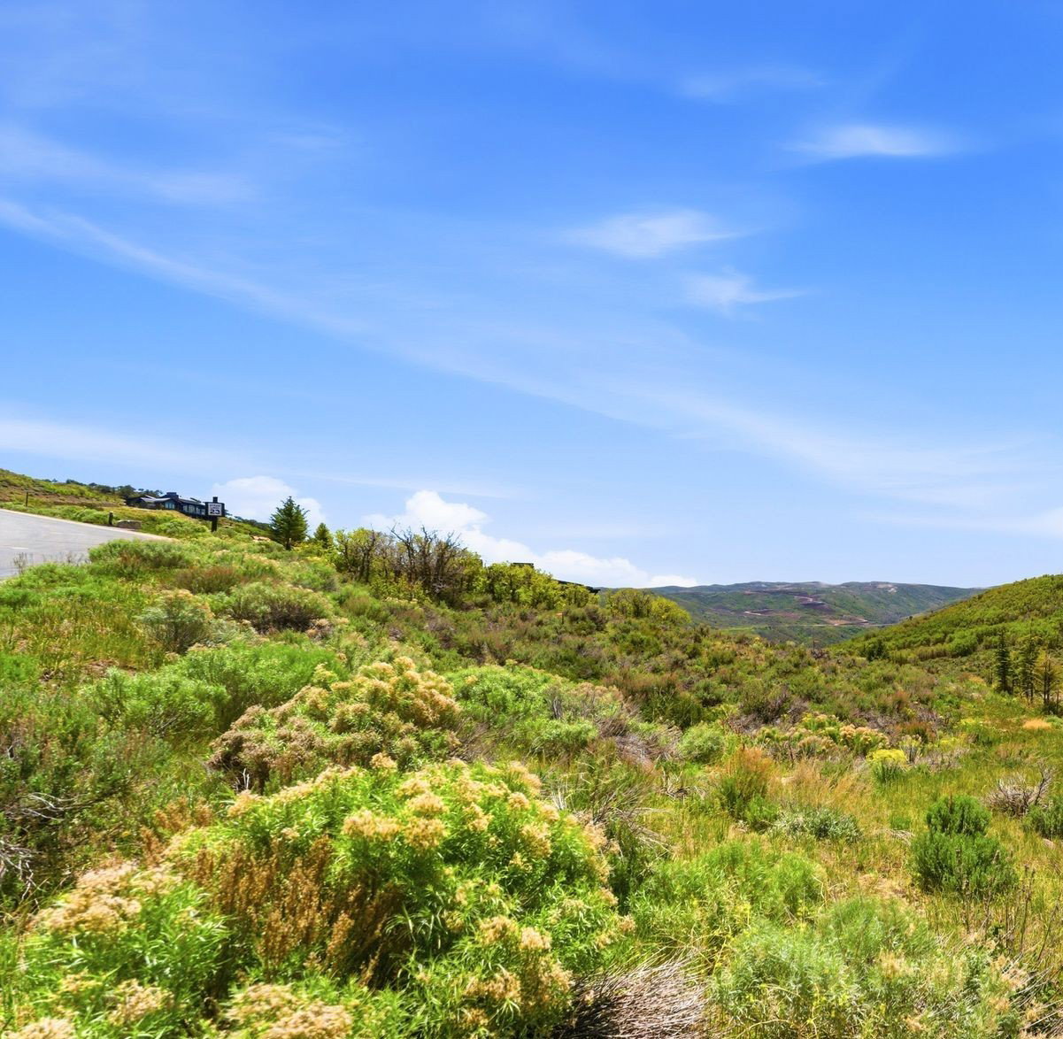 Downhill homesite