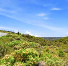 Downhill homesite