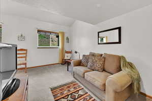Bright living area featuring vaulted ceilings, light grey carpet flooring, white walls, and a window with exterior views