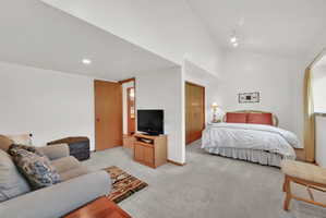 Carpeted interior space featuring a distinct sleeping area and a separate living area