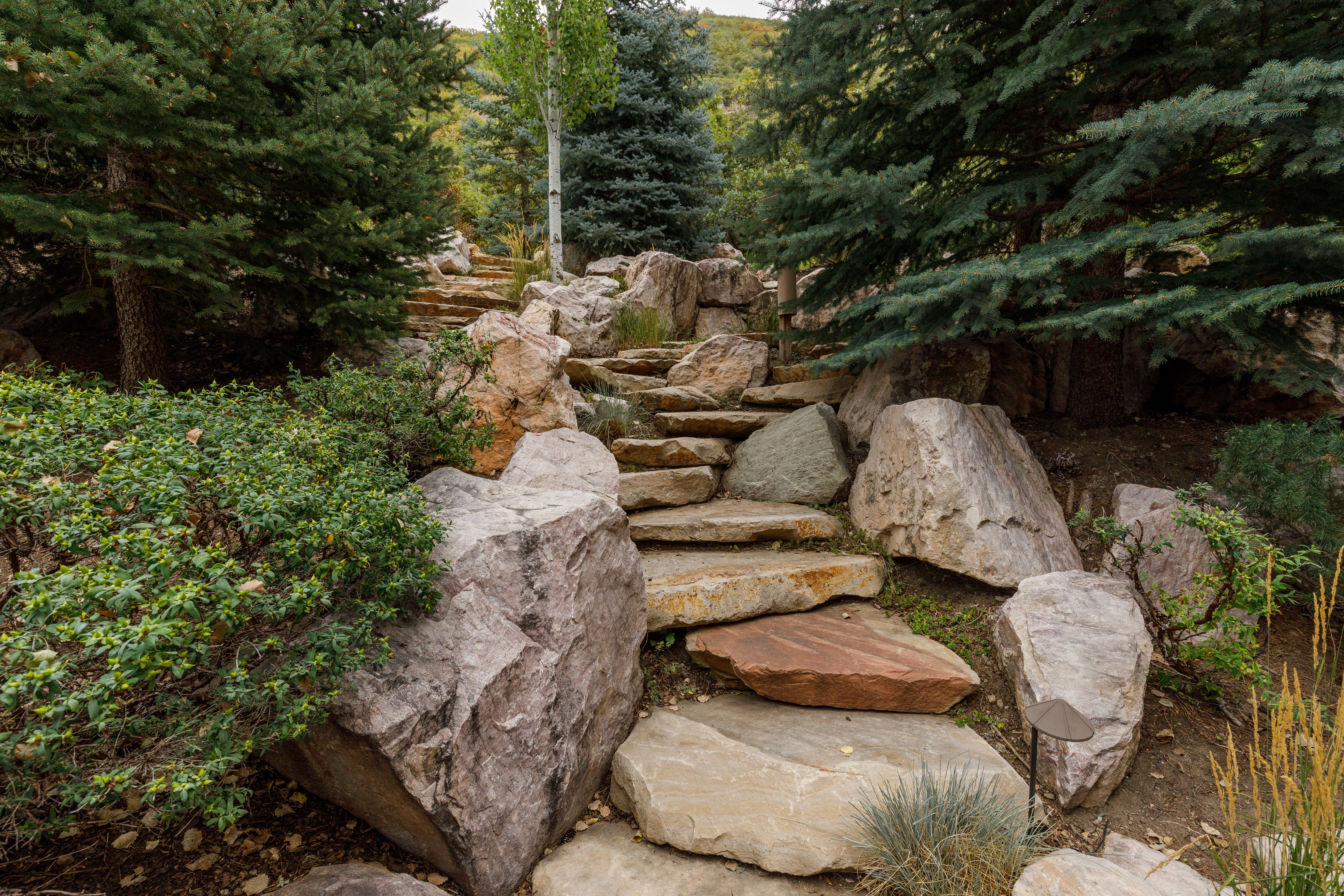 Natural stone steps winding through a landscaped incline