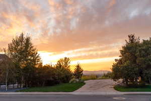 Paved driveway with a concrete apron, bordered by mature trees and a manicured lawn