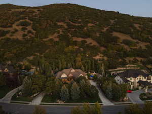 Hillside property with mature trees, a paved driveway, and a stone facade