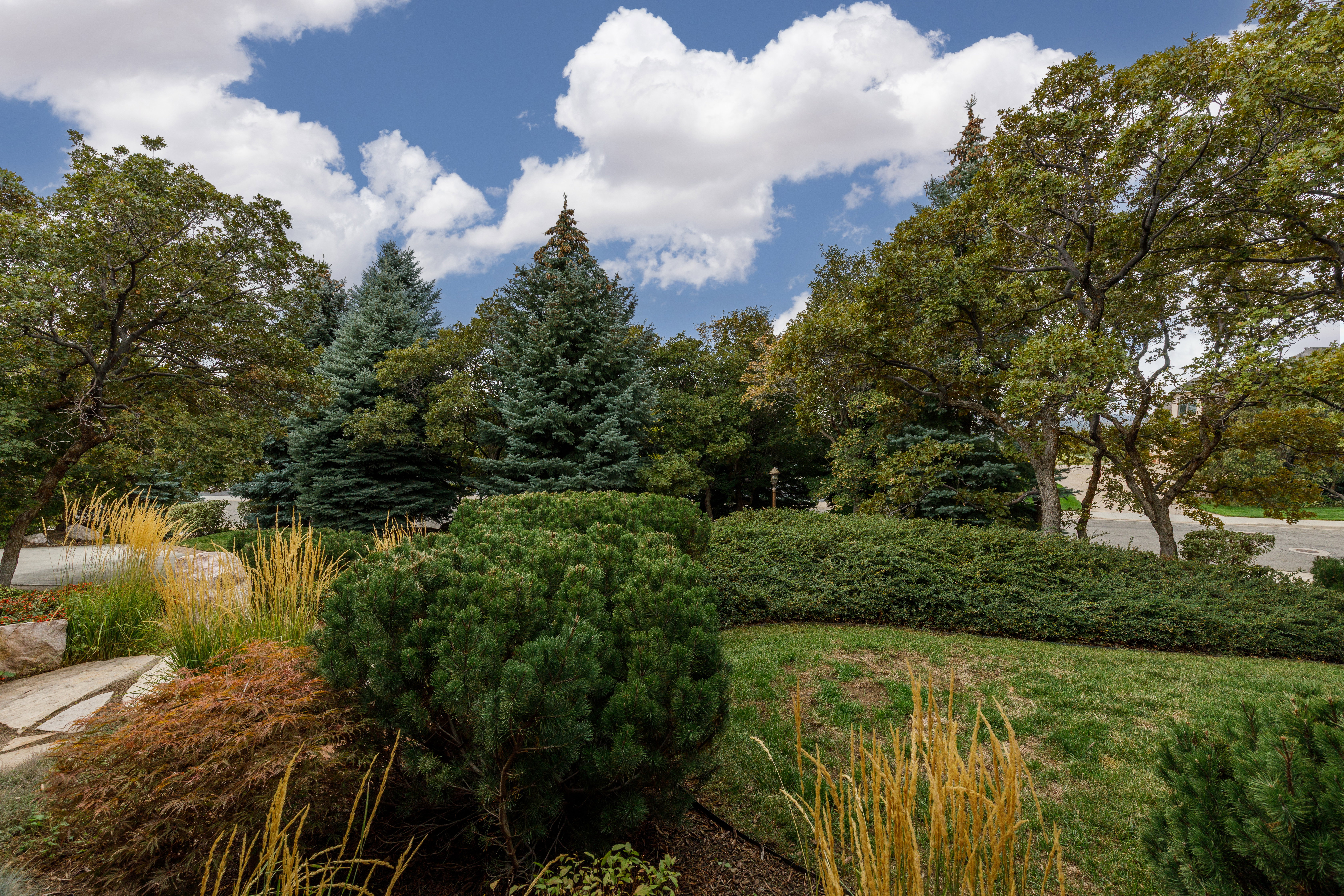 Mature landscaping featuring diverse tree species, a manicured lawn, natural rock elements, and varied ground cover plantings
