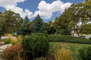 Mature landscaping featuring diverse tree species, a manicured lawn, natural rock elements, and varied ground cover plantings