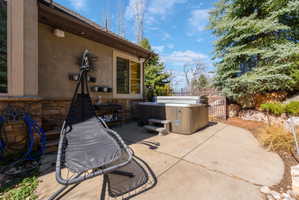 Outdoor patio featuring a built-in spa, concrete surfacing, and mature evergreen trees