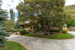 Curved driveway with paver accents and surrounding lawn