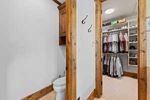 Walk-in closet featuring extensive built-in shelving, multiple hanging rods, recessed lighting, and carpet flooring