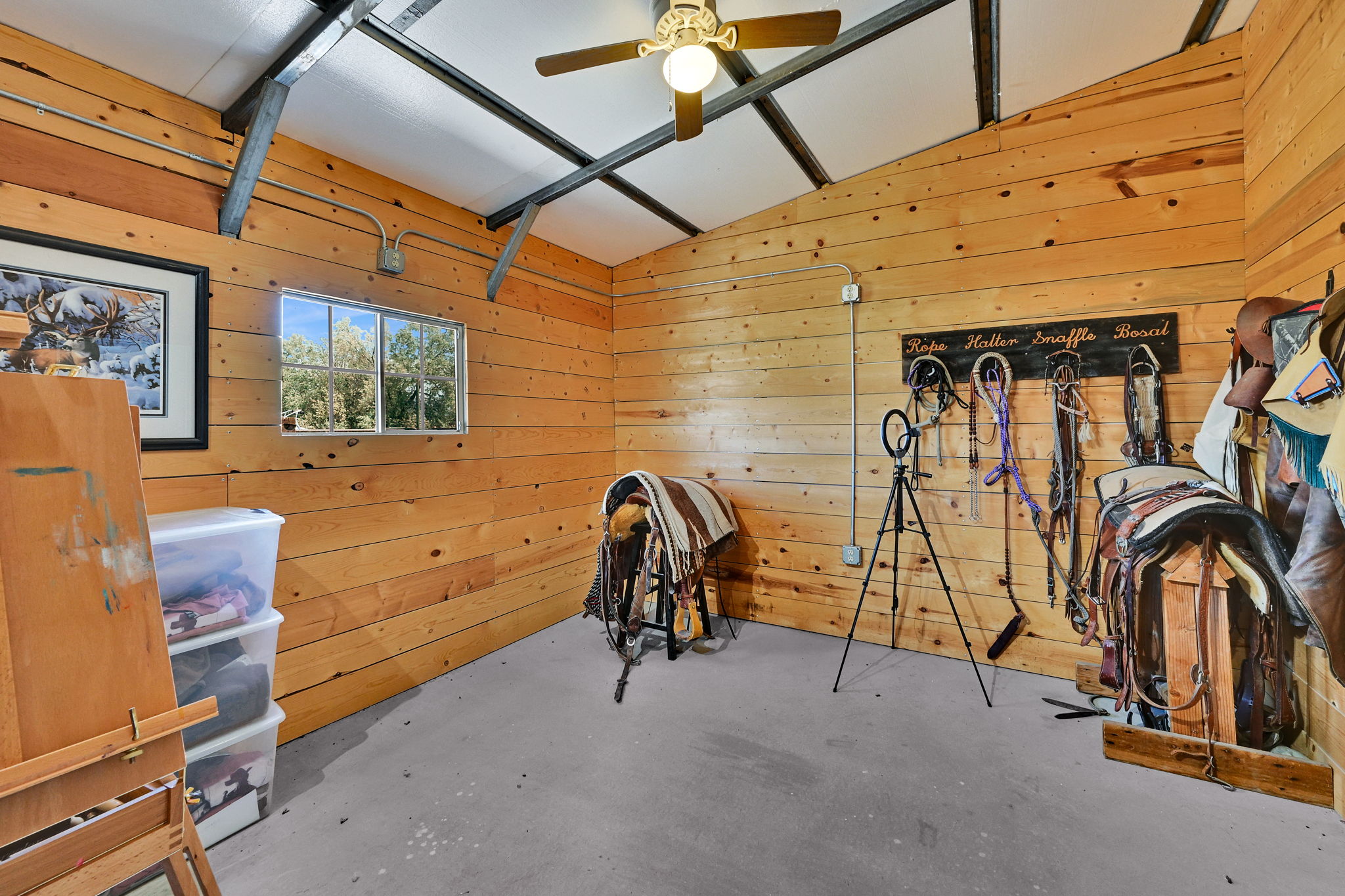 Room with plank wood-finish walls, a window, and a ceiling fan