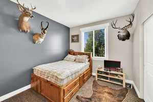 A room featuring a wood-finish bed frame with built-in storage drawers, carpet flooring, and a large window with white trim