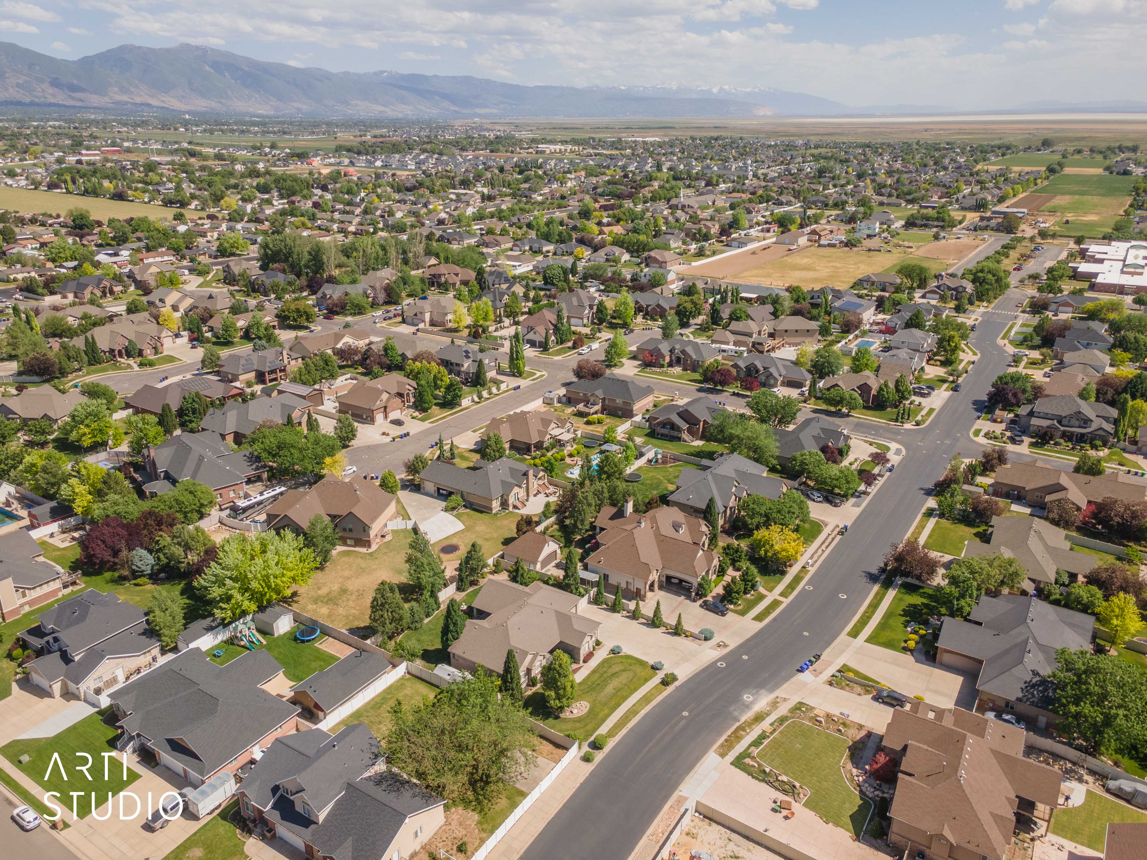 Residential neighborhood with established homes and mature landscaping