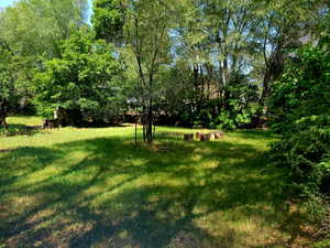 Expansive grassy yard area with mature trees and dense perimeter foliage