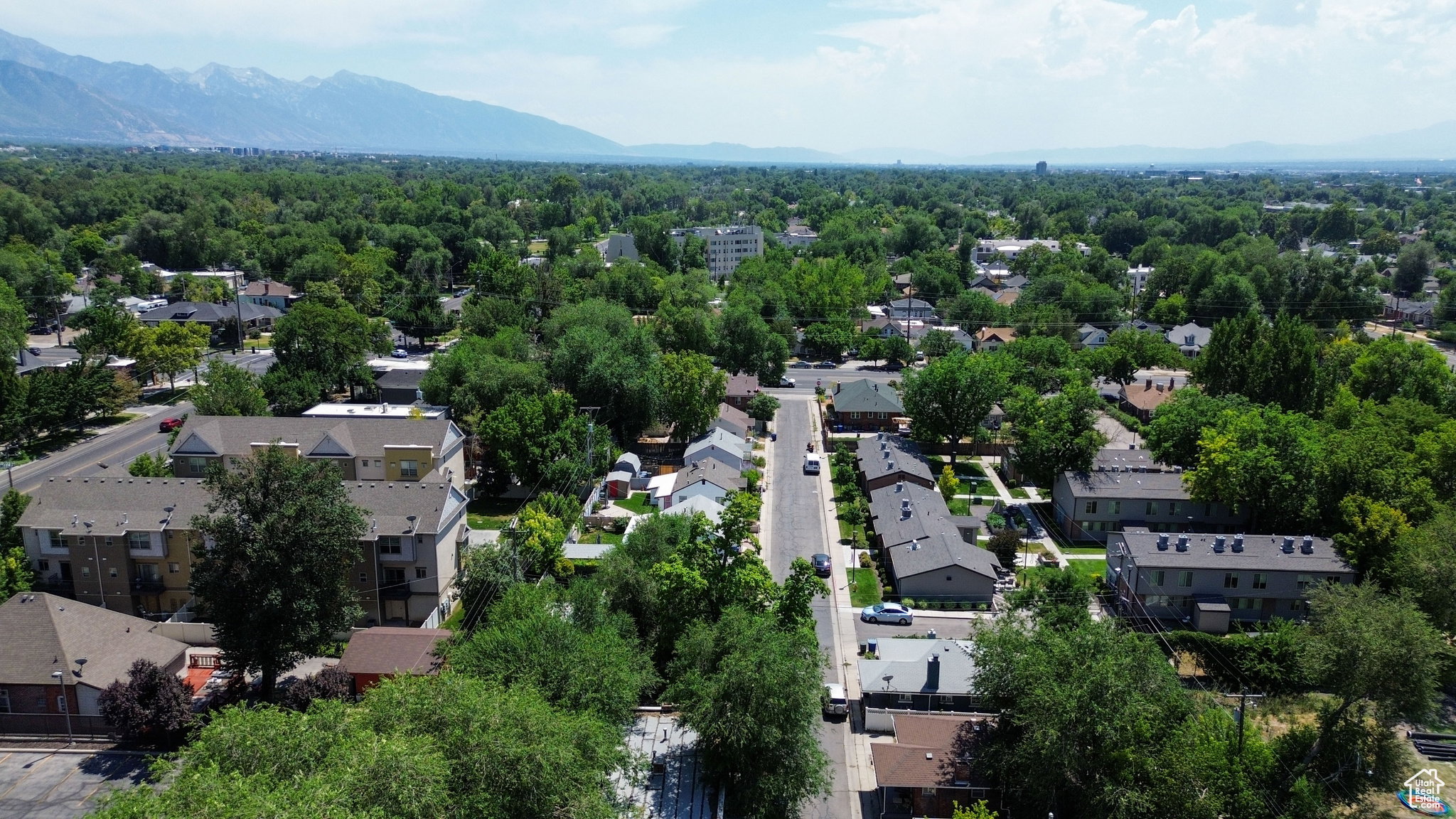Expansive aerial perspective showcasing a residential area with lush tree coverage