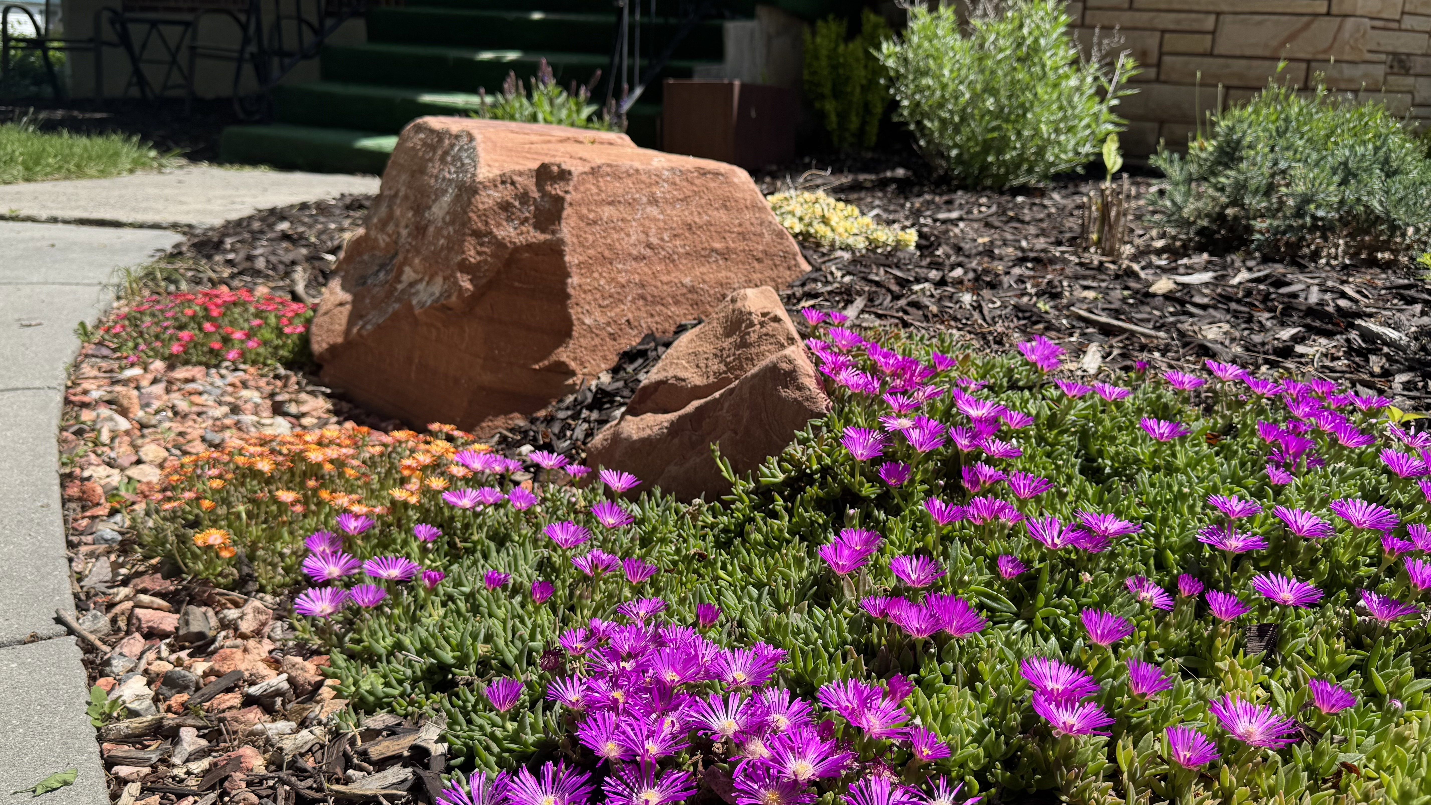 Landscaped garden bed featuring vibrant purple and orange flowering groundcover