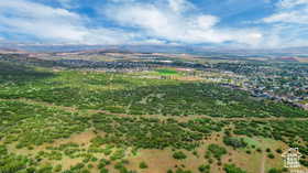 Expansive undeveloped landscape featuring varied green foliage