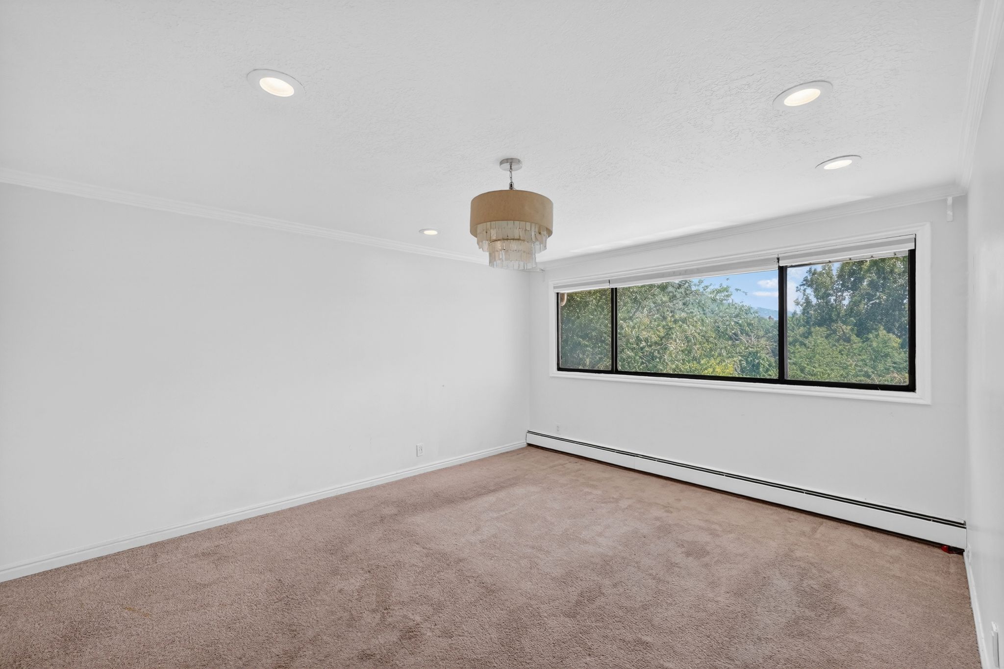 Expansive window framing verdant tree canopy