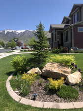 Front yard landscaping featuring a mature evergreen, decorative boulders, and various plantings