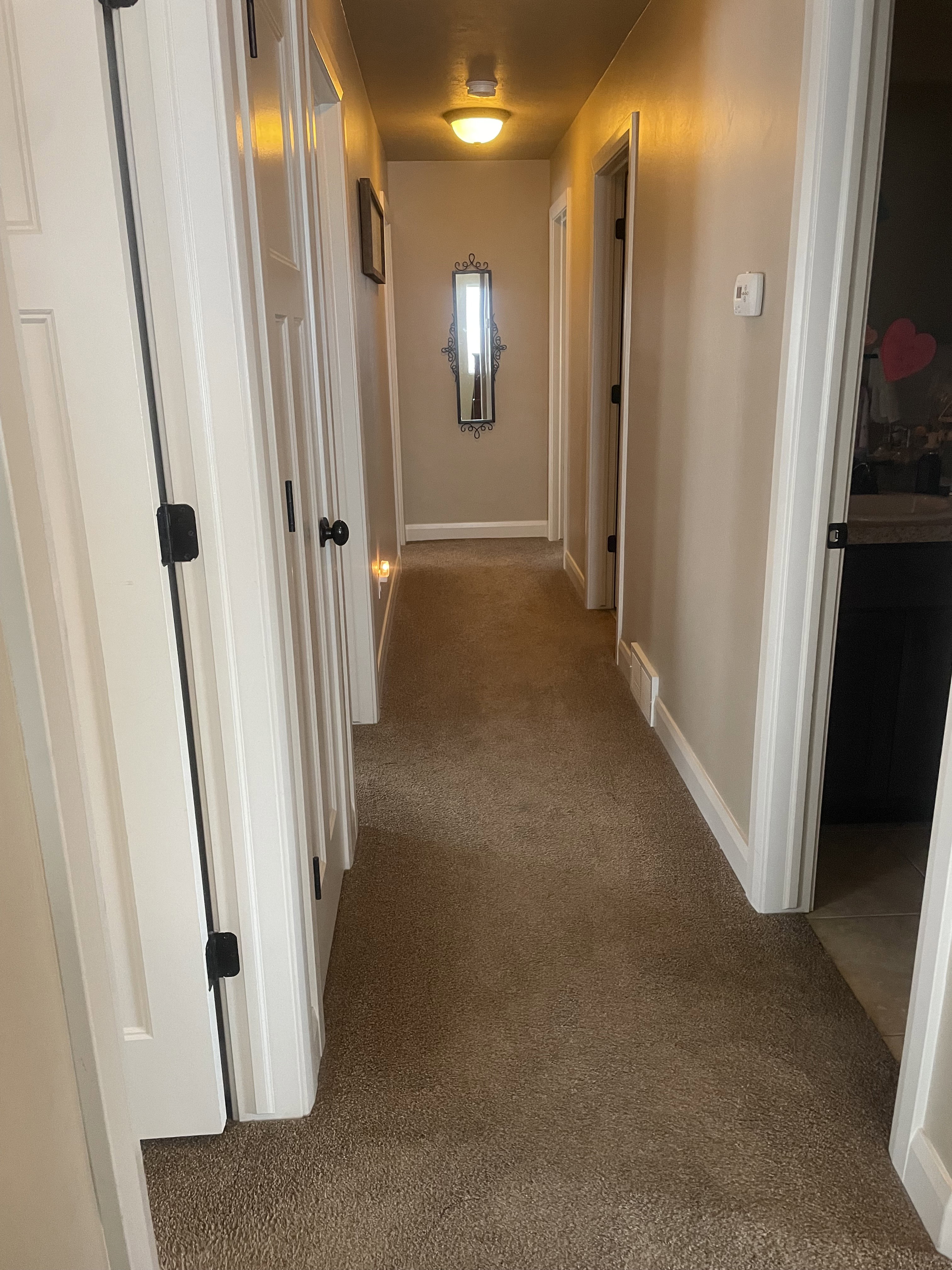 Carpeted hallway featuring multiple white doors with black hardware, neutral wall paint, and a wall-mounted light fixture