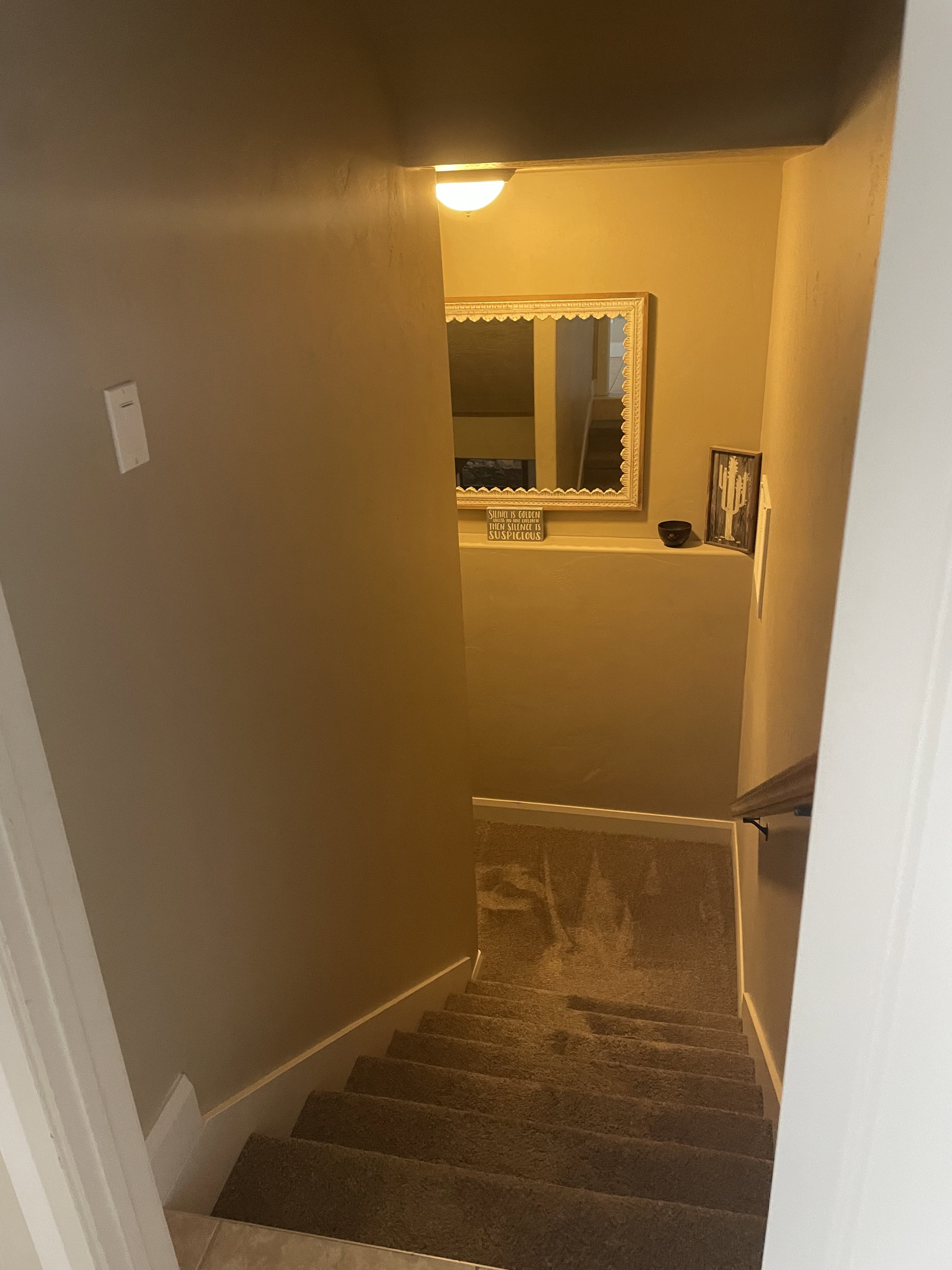 Carpeted staircase featuring a wooden handrail, neutral wall paint, and a wall-mounted light fixture