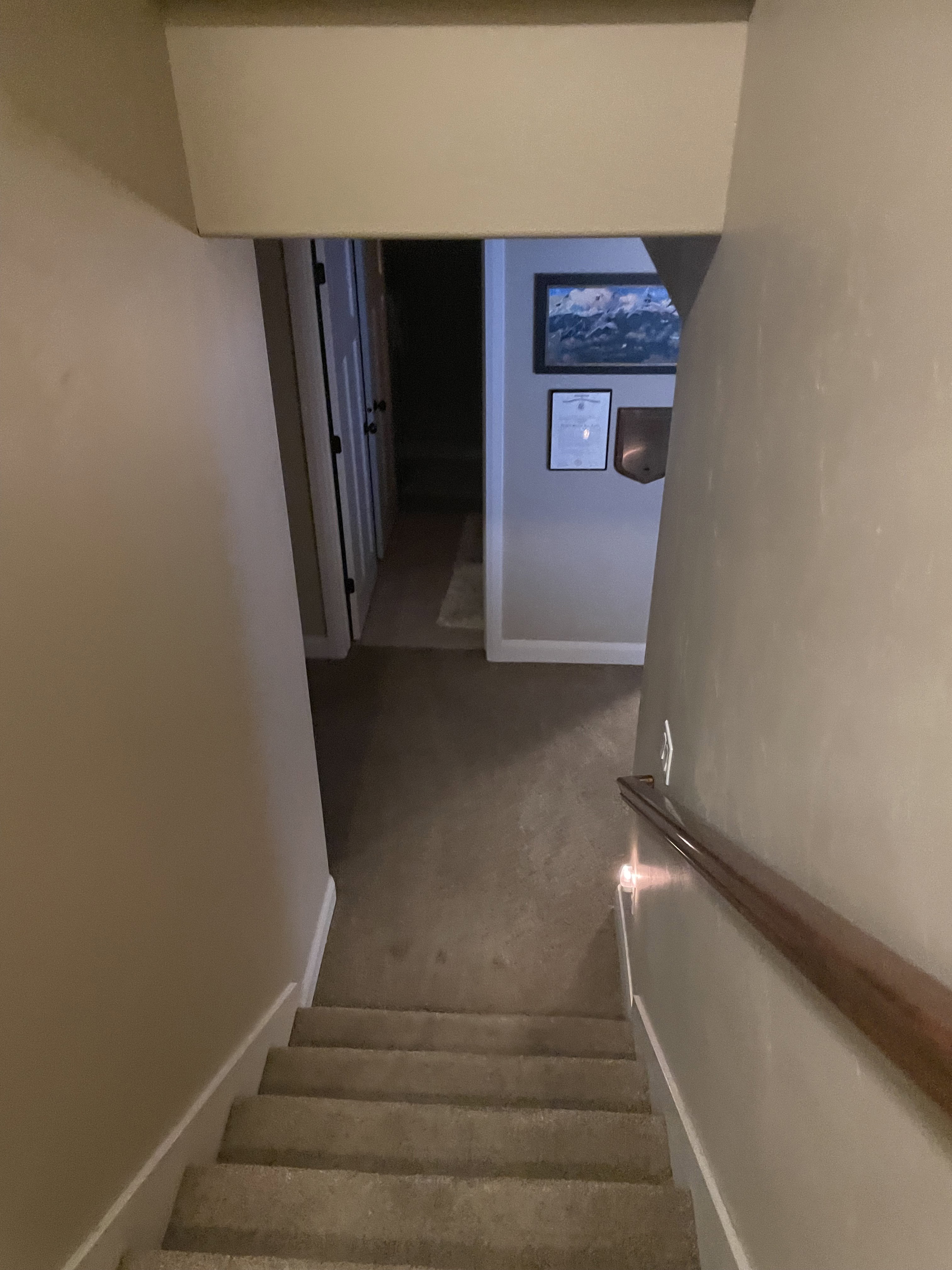 Carpeted staircase with a wood handrail descending to a lower level