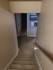 Carpeted staircase with a wood handrail descending to a lower level