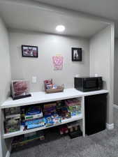 Recessed alcove with built-in white shelving, integrated lighting, and carpeted flooring