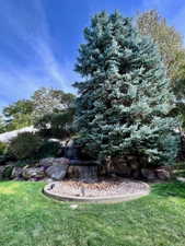 Lush landscaping featuring a multi-tiered rock waterfall, mature evergreen tree, and manicured lawn