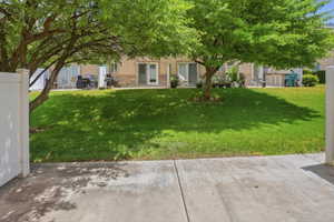 Expansive green lawn area featuring mature trees providing natural shade