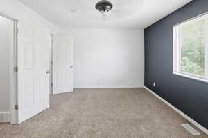 Carpeted interior space with a contrasting accent wall