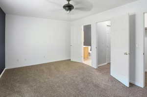 Expansive carpeted room featuring a ceiling fan, white walls with a dark accent wall, and multiple entryways