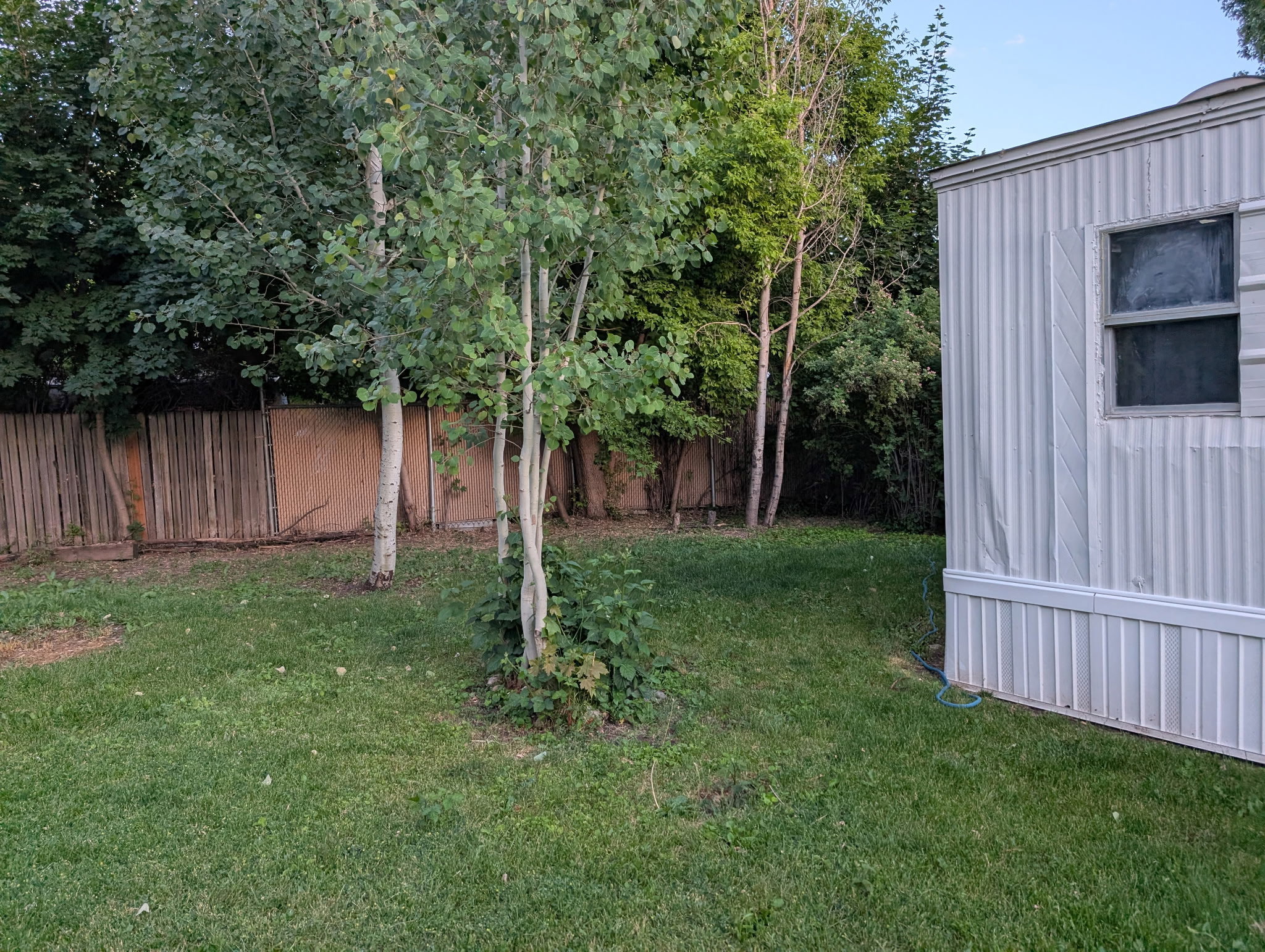 Expansive green lawn with mature trees