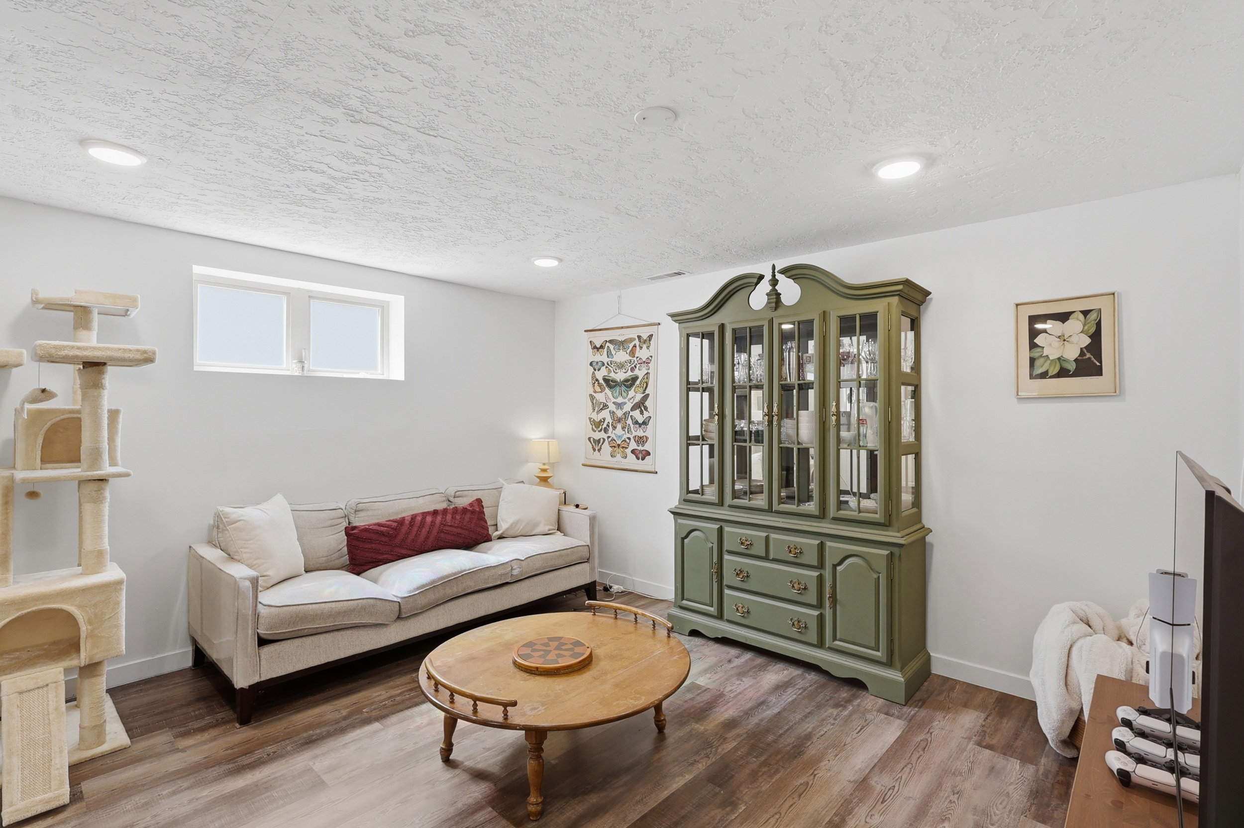 Basement Apartment Living Room