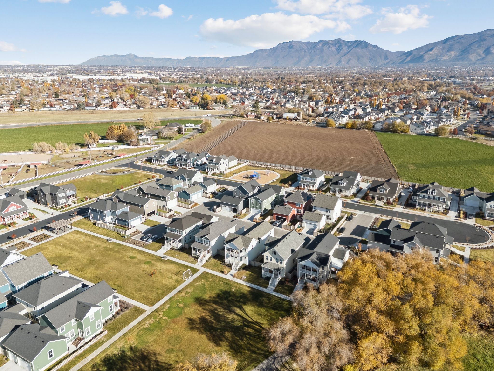 New residential development featuring varied architectural styles and mature landscaping