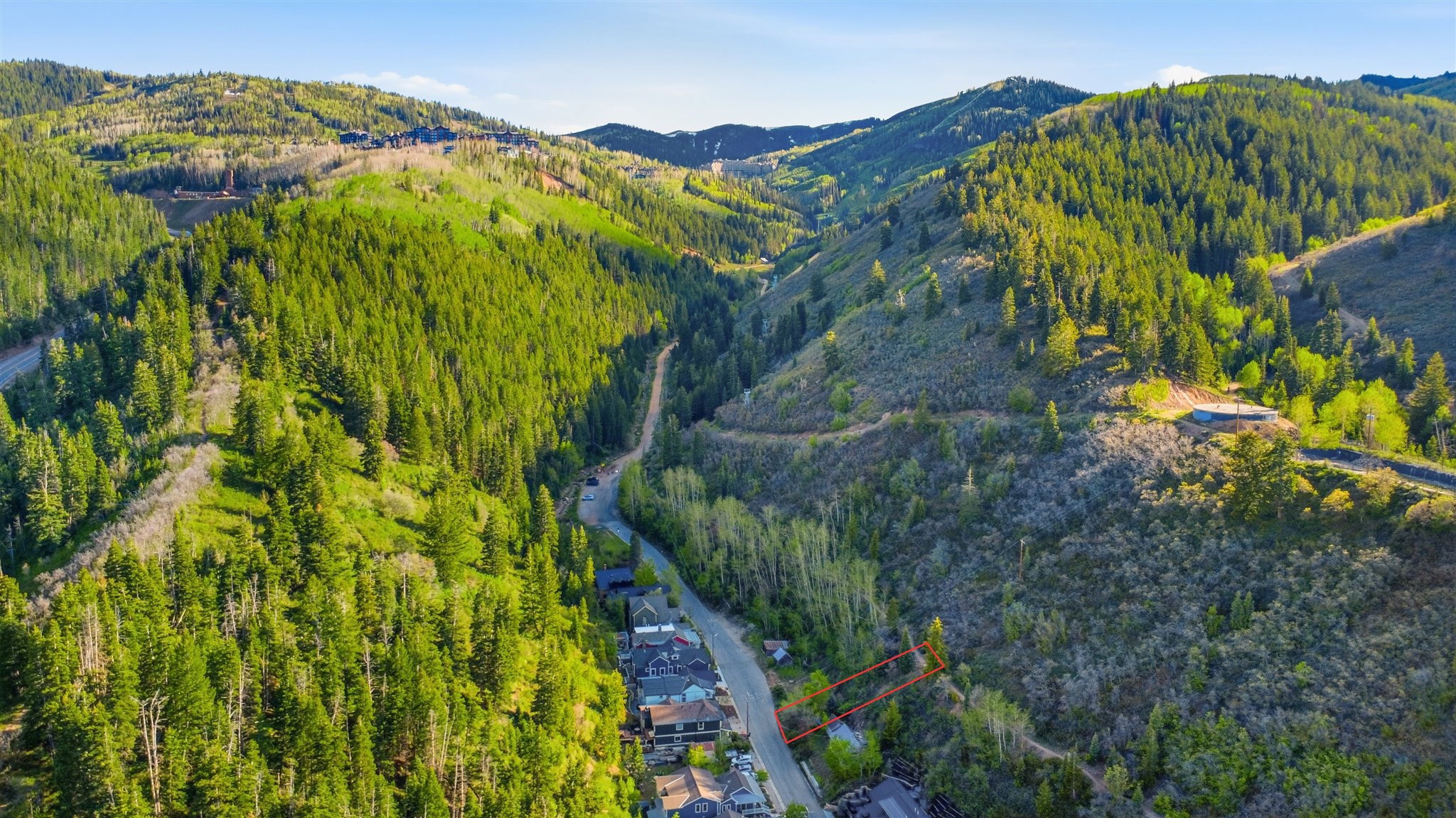 Expansive mountain property featuring significant tree coverage and a gentle slope
