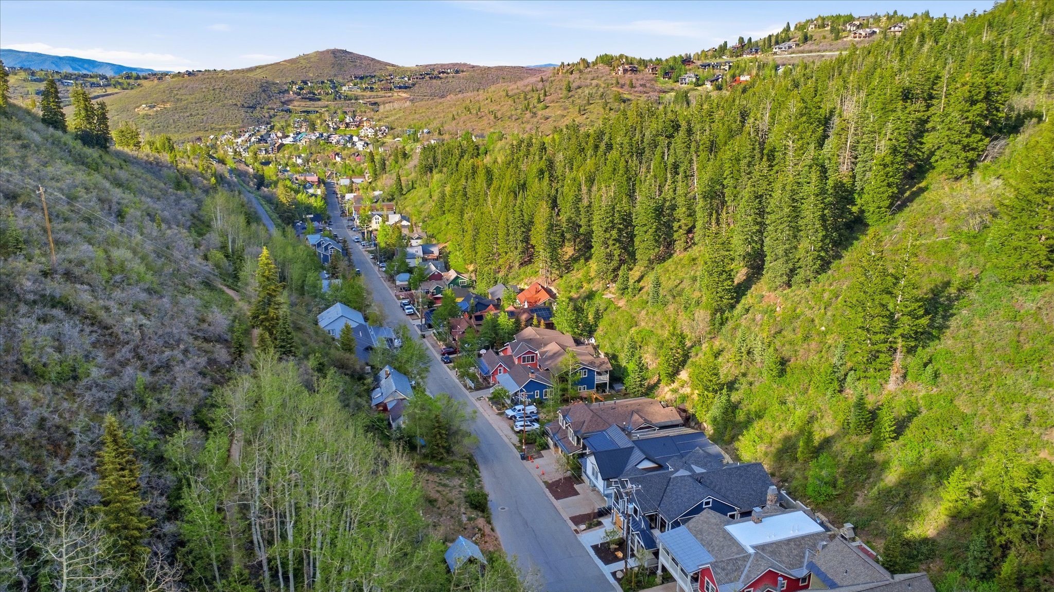 Aerial depiction of a neighborhood street lined with diverse residential structures