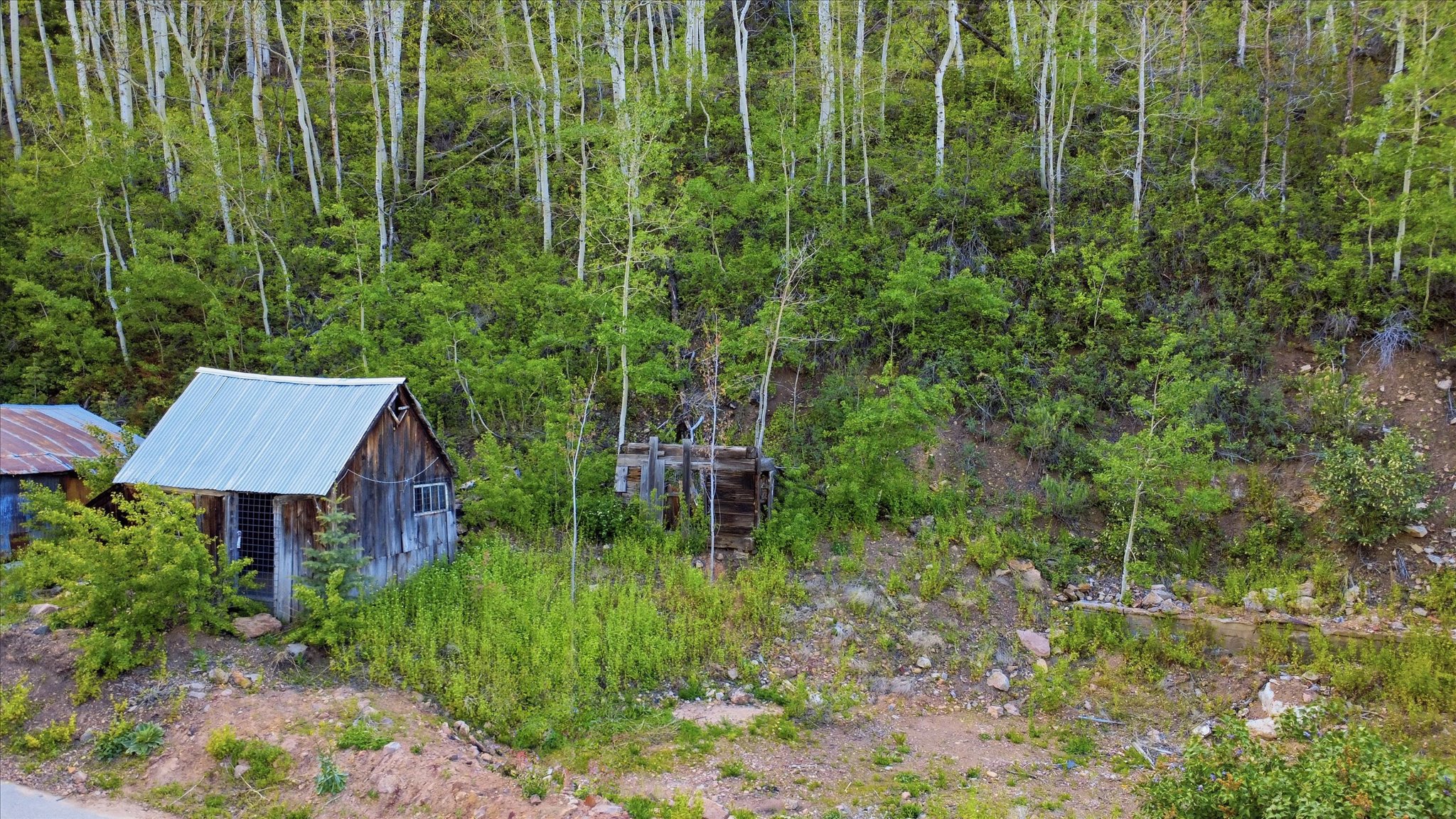 Wooden structure with a corrugated metal roof, surrounded by dense foliage and mature trees